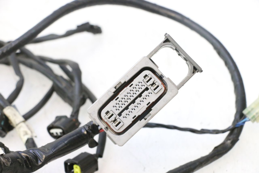 photo de WIRING HARNESS YAMAHA X-MAX XMAX 125 (2010 - 2013) - Fixing points details