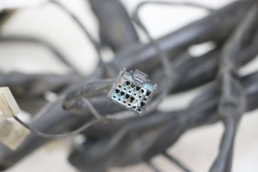 photo de WIRING HARNESS PIAGGIO X10 125 (2012 - 2017) - Fixing points details