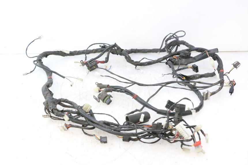 photo de WIRE HARNESS PIAGGIO X8 STREET 125 (2006 - 2007) - Main view