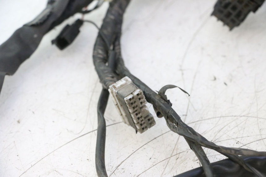 photo de WIRE HARNESS PIAGGIO X8 STREET 125 (2006 - 2007) - High-resolution close-up