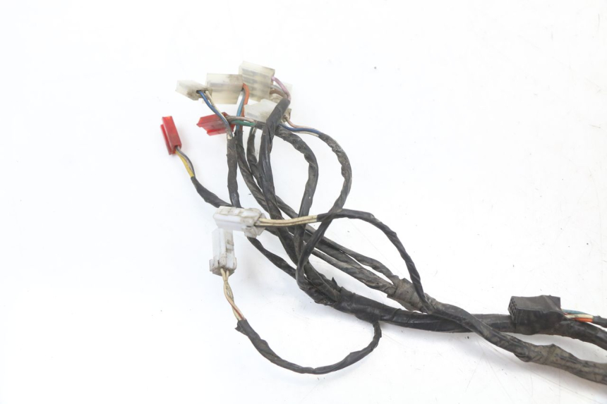 photo de WIRE HARNESS PIAGGIO X8 125 (2004 - 2007) - Component detail
