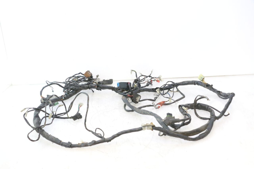 photo de WIRE HARNESS PIAGGIO X9 AMALFI 180 (2000 - 2003) - Distinctive features
