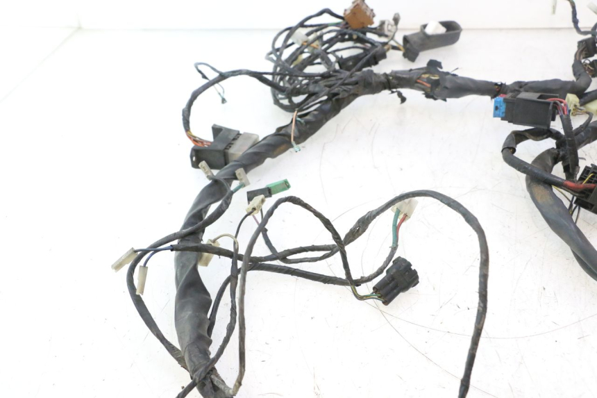 photo de WIRE HARNESS PIAGGIO X9 AMALFI 180 (2000 - 2003) - High-resolution close-up