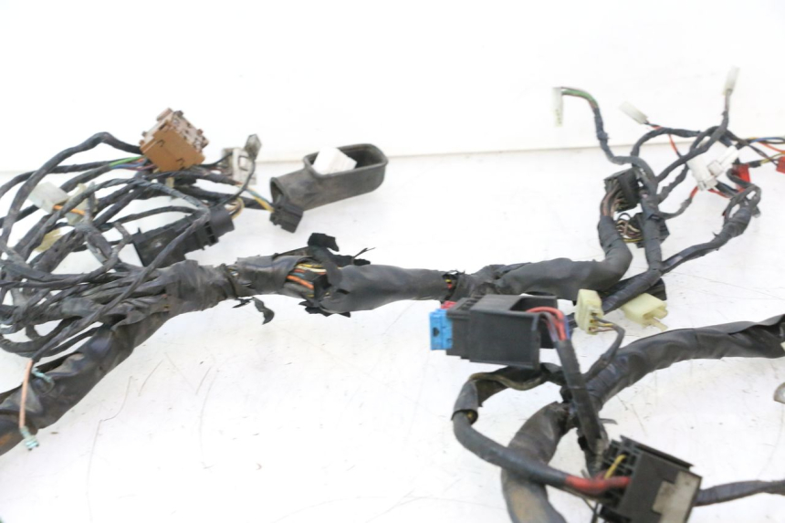 photo de WIRE HARNESS PIAGGIO X9 AMALFI 180 (2000 - 2003) - Supplementary product photo