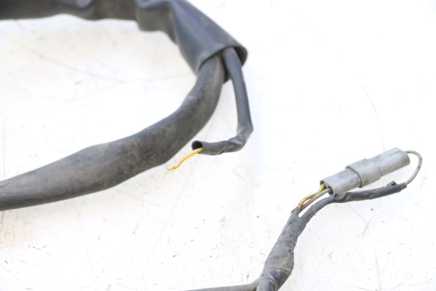 photo de WIRE HARNESS PIAGGIO X9 AMALFI 180 (2000 - 2003) - Focus on structure