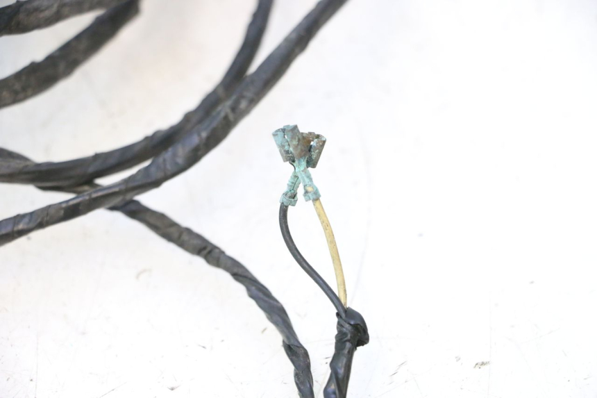 photo de WIRE HARNESS PIAGGIO X9 AMALFI 180 (2000 - 2003) - Alternative angle
