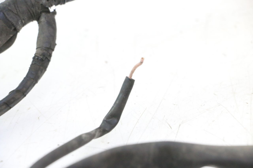 photo de WIRE HARNESS PIAGGIO X9 AMALFI 180 (2000 - 2003) - Alternative perspective