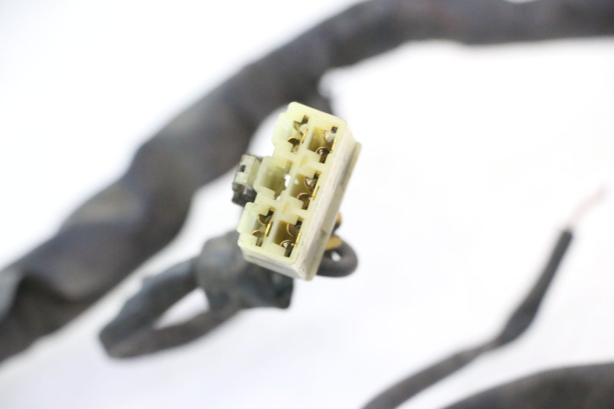 photo de WIRE HARNESS PIAGGIO X9 AMALFI 180 (2000 - 2003) - Technical close-up