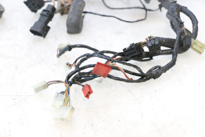 photo de WIRE HARNESS PIAGGIO X9 AMALFI 180 (2000 - 2003) - Fixing points details