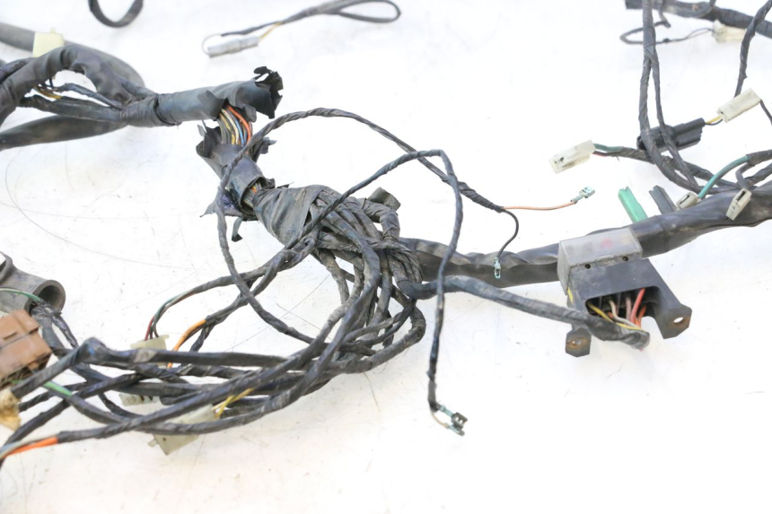 photo de WIRE HARNESS PIAGGIO X9 AMALFI 180 (2000 - 2003) - Markings and original references