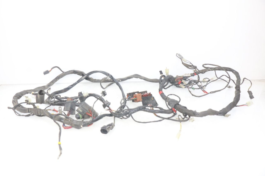 photo de WIRING HARNESS PIAGGIO X9 EVOLUTION 125 (2003 - 2007) - Main view