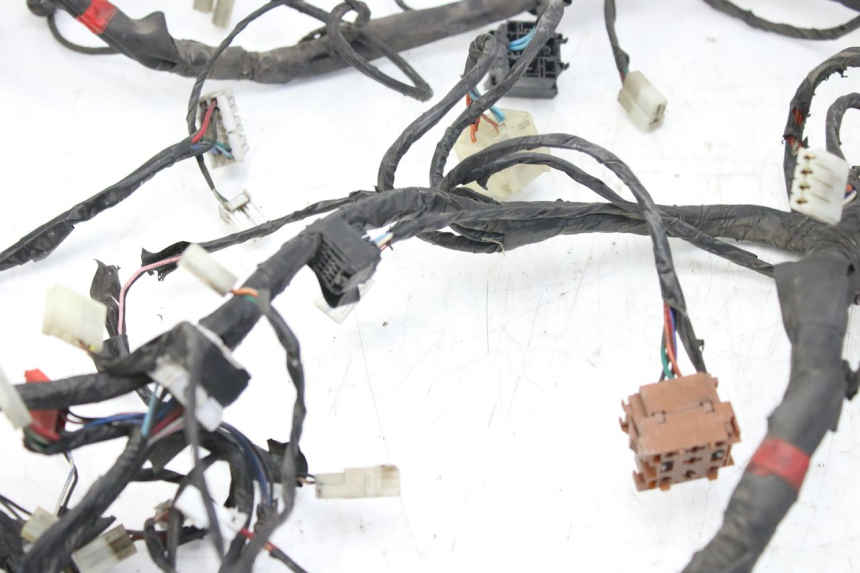 photo de WIRING HARNESS PIAGGIO X9 EVOLUTION 125 (2003 - 2007) - Technical close-up