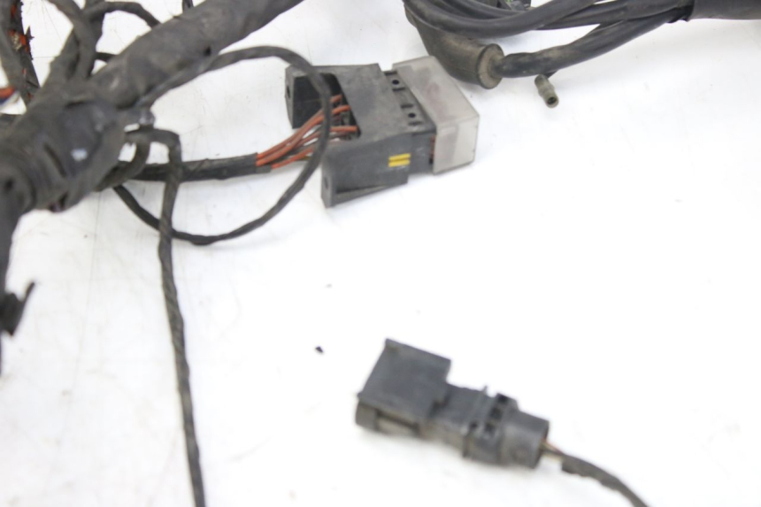 photo de WIRING HARNESS PIAGGIO X9 EVOLUTION 125 (2003 - 2007) - Product overview