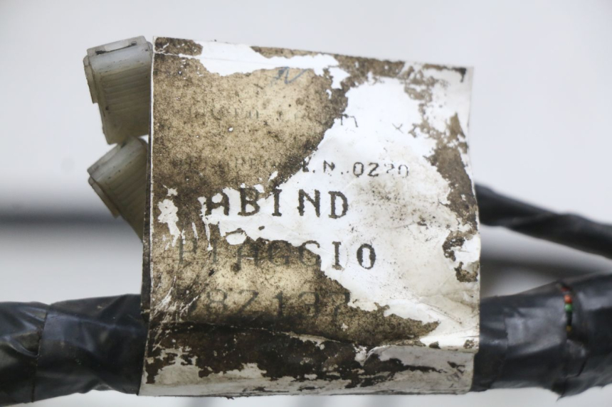 photo de WIRING HARNESS PIAGGIO X9 125 (2000 - 2003) - Component detail