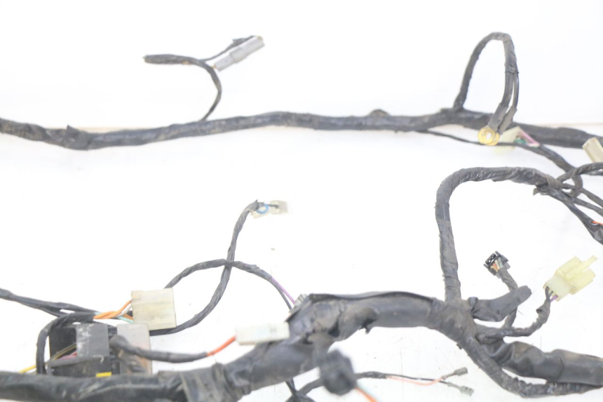 photo de WIRING HARNESS PIAGGIO X9 125 (2000 - 2003) - Technical close-up