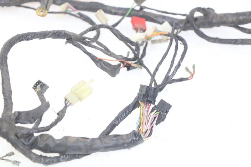 photo de WIRING HARNESS PIAGGIO X9 125 (2000 - 2003) - Markings and original references