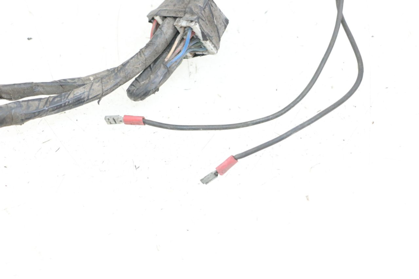 photo de WIRING HARNESS PIAGGIO X9 125 (2000 - 2003) - Technical close-up