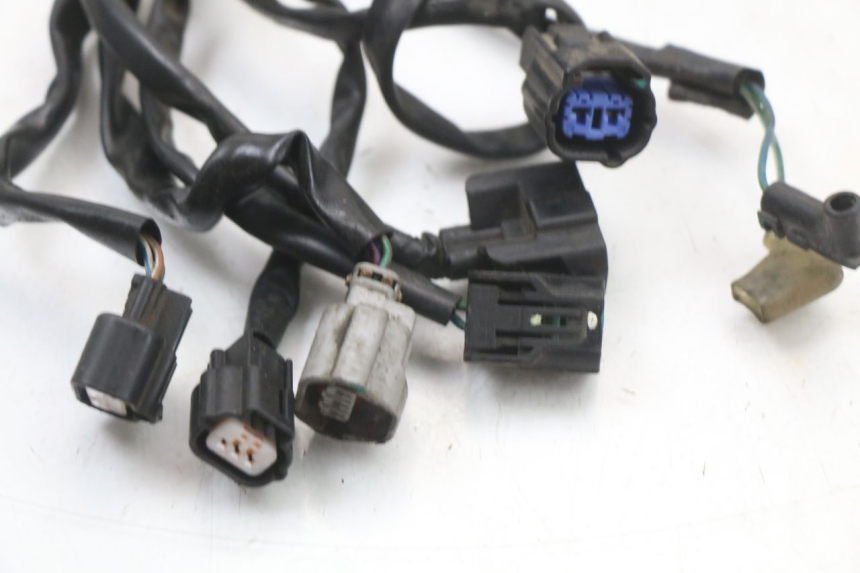 photo de Wiring harness KYMCO XCITING 250 (2006 - 2009) - Fixing points details
