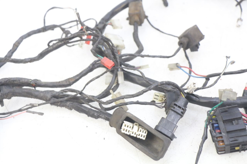 photo de WIRING HARNESS PIAGGIO XEVO - X EVO 125 (2007 - 2017) - Component detail