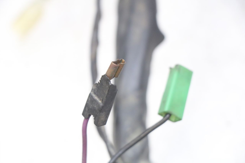 photo de WIRING HARNESS PIAGGIO XEVO - X EVO 125 (2007 - 2017) - Component detail