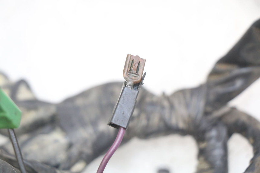 photo de WIRING HARNESS PIAGGIO XEVO - X EVO 125 (2007 - 2017) - Zoom on usage condition