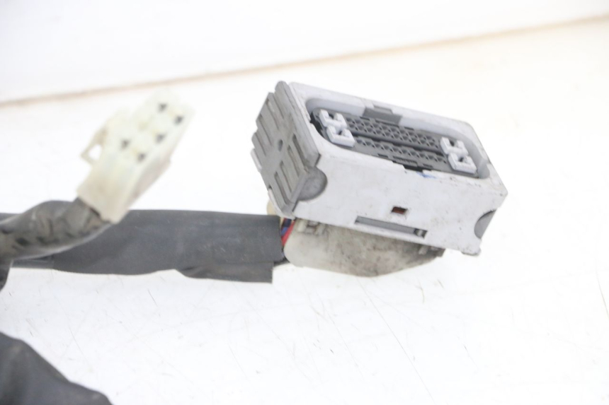 photo de WIRE HARNESS YAMAHA XJ6 ABS 600 (2008 - 2016) - Markings and original references