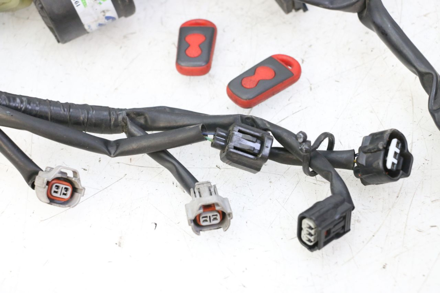 photo de WIRE HARNESS YAMAHA XJ6 ABS 600 (2008 - 2016) - Spare part profile view