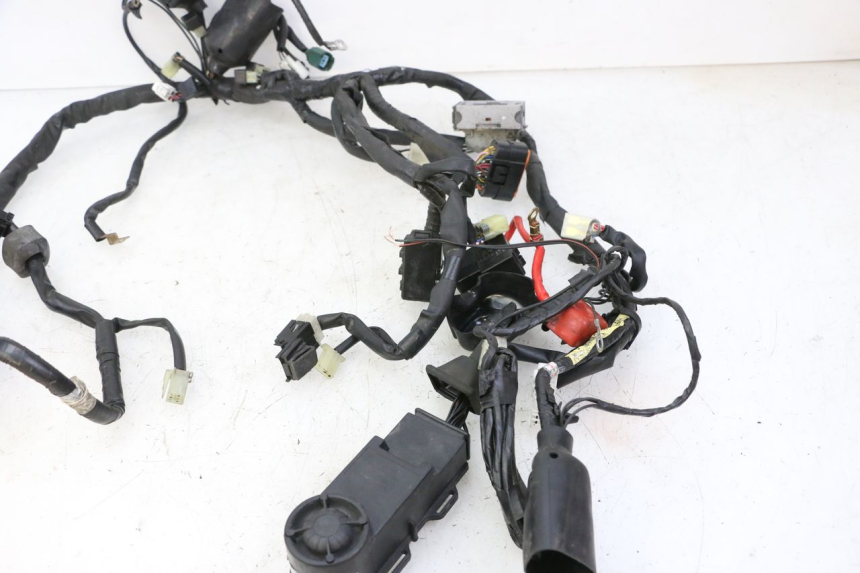 photo de WIRE HARNESS YAMAHA XJ6 ABS 600 (2008 - 2016) - Alternative perspective