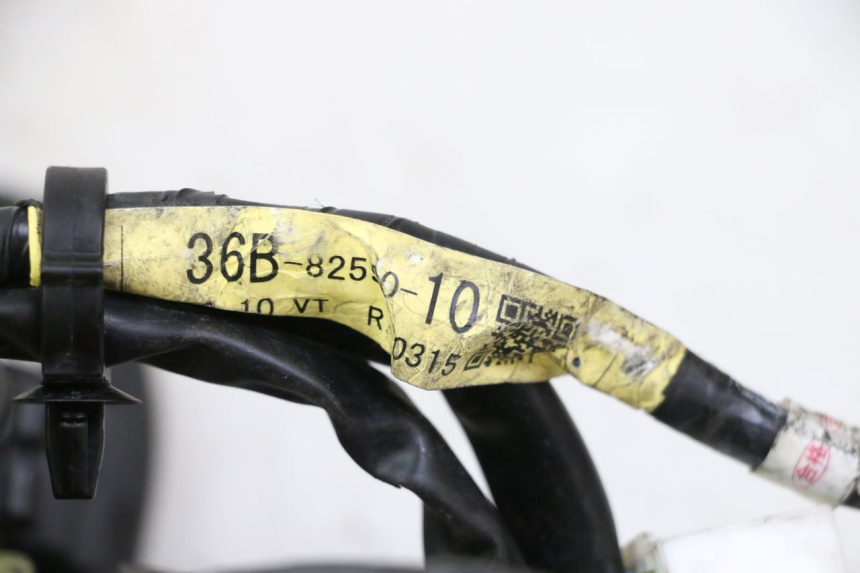 photo de WIRE HARNESS YAMAHA XJ6 ABS 600 (2008 - 2016) - Fixing points details