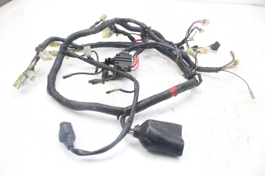 photo de WIRE HARNESS YAMAHA XJN DIVERSION 600 (2000 - 2003) - Main view
