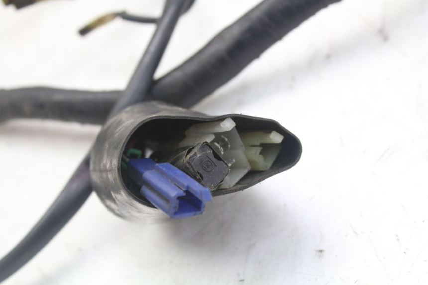 photo de WIRE HARNESS YAMAHA XJN DIVERSION 600 (2000 - 2003) - Component detail