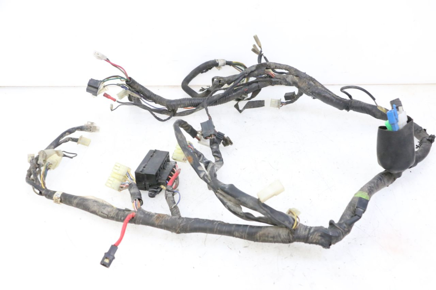 photo de WIRE HARNESS YAMAHA XJN DIVERSION 600 (2000 - 2003) - Component detail