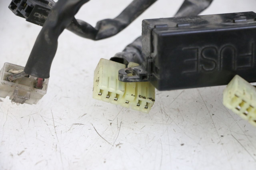 photo de WIRE HARNESS YAMAHA XJN DIVERSION 600 (2000 - 2003) - Distinctive features