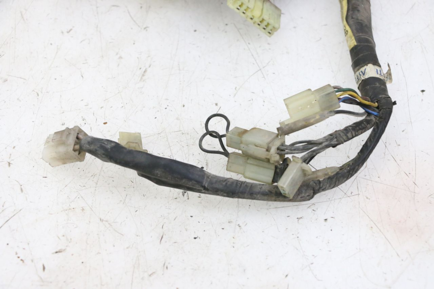 photo de WIRE HARNESS YAMAHA XJN DIVERSION 600 (2000 - 2003) - High-resolution close-up