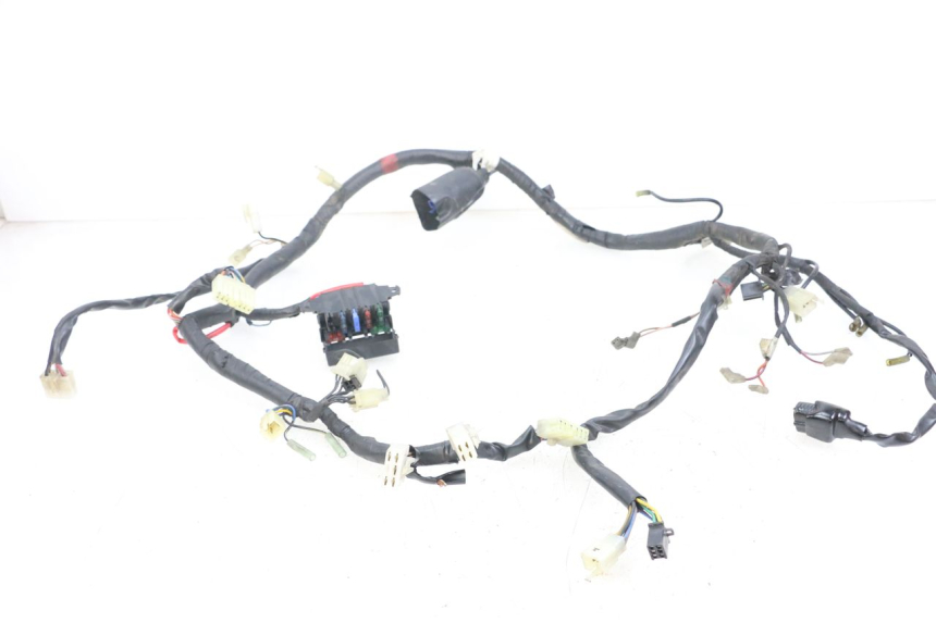 photo de WIRE HARNESS YAMAHA XJS DIVERSION 600 (1997 - 1999) - Main view