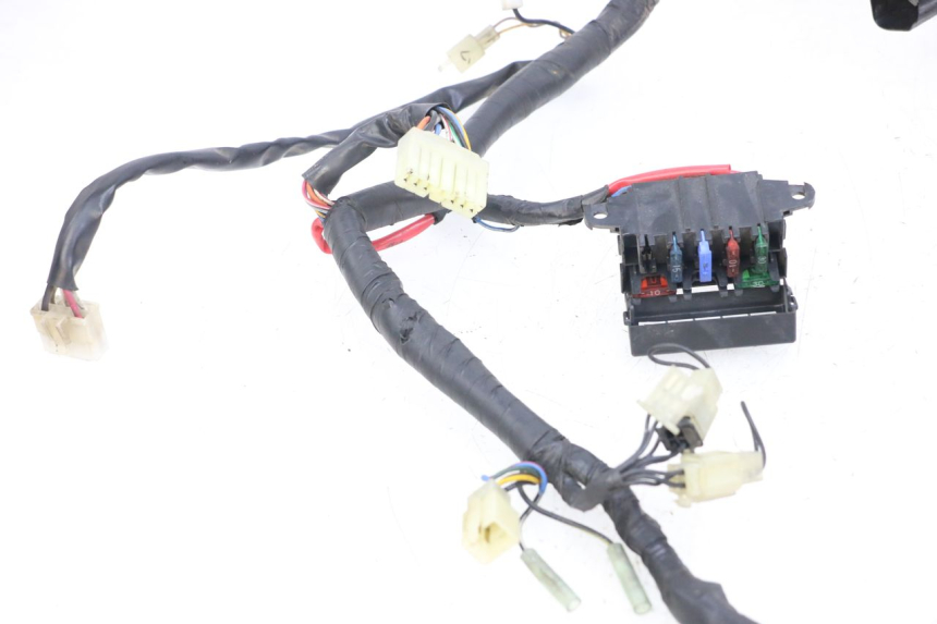 photo de WIRE HARNESS YAMAHA XJS DIVERSION 600 (1997 - 1999) - Markings and original references