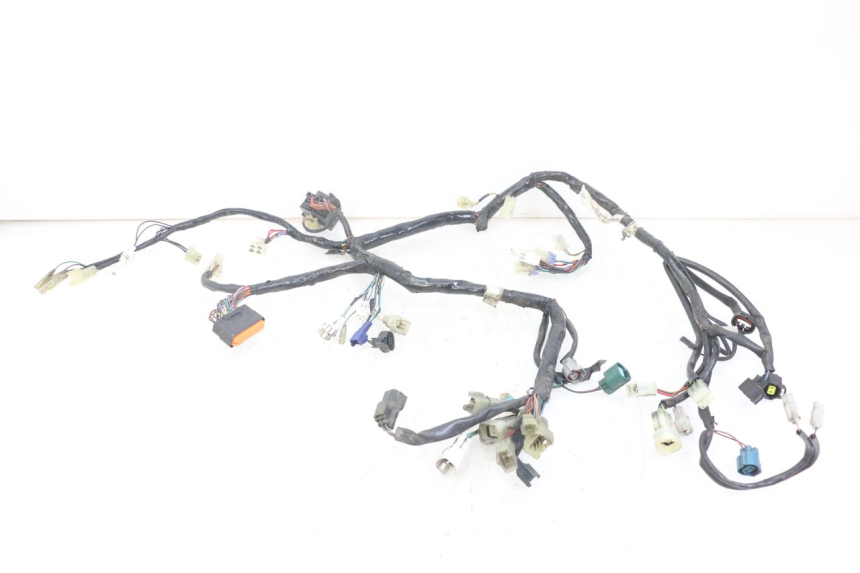 photo de WIRING HARNESS YAMAHA XT X 660 (2004 - 2016) - Main view