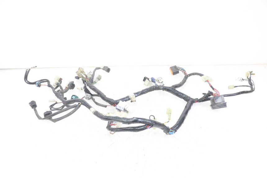 photo de WIRING HARNESS YAMAHA XT X 660 (2004 - 2016) - Zoom on usage condition