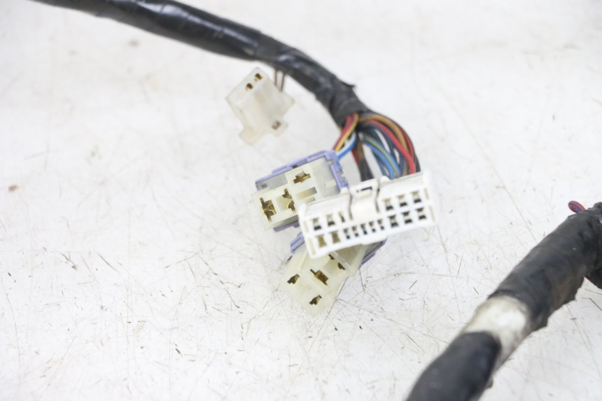 photo de WIRING HARNESS YAMAHA XT X 660 (2004 - 2016) - Alternative perspective