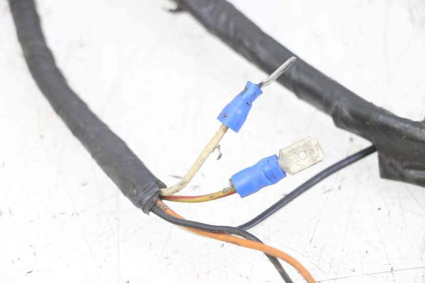 photo de WIRE HARNESS YAMAHA BW'S NG NEXT GENERATION 50 (1996 - 2003) - Focus on structure