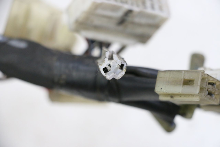 photo de WIRE HARNESS YAMAHA FZ6 FAZER S2 600 (2007 - 2011) - Product overview