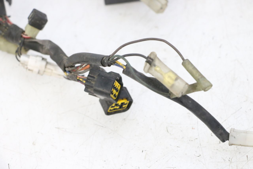 photo de WIRE HARNESS YAMAHA FZS FAZER 600 (2001 - 2003) - Distinctive features