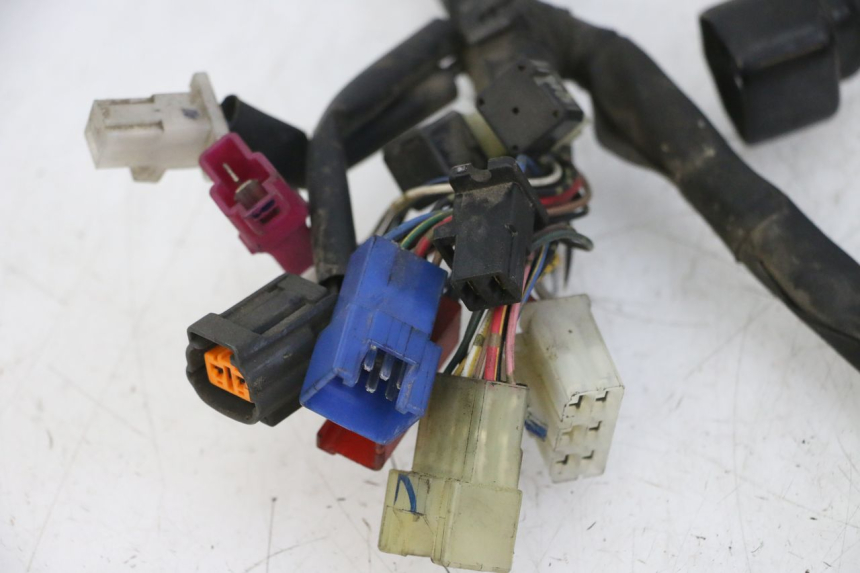 photo de WIRE HARNESS YAMAHA FZS FAZER 600 (2001 - 2003) - Technical close-up