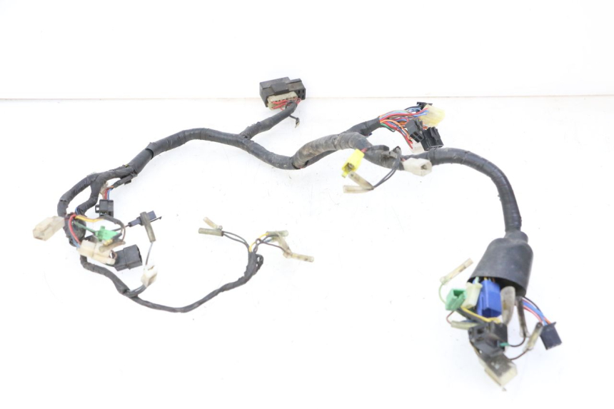 photo de WIRE HARNESS YAMAHA XV VIRAGO 535 (1988 - 2004) - Fixing points details