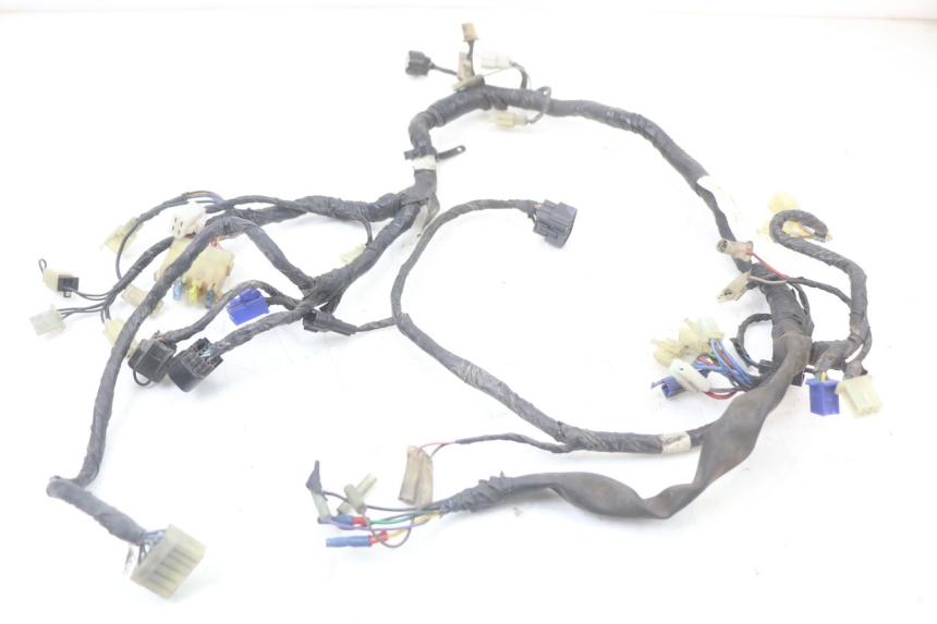 photo de WIRE HARNESS YAMAHA XVS DRAG STAR DRAGSTAR 650 (1997 - 2007) - Main view