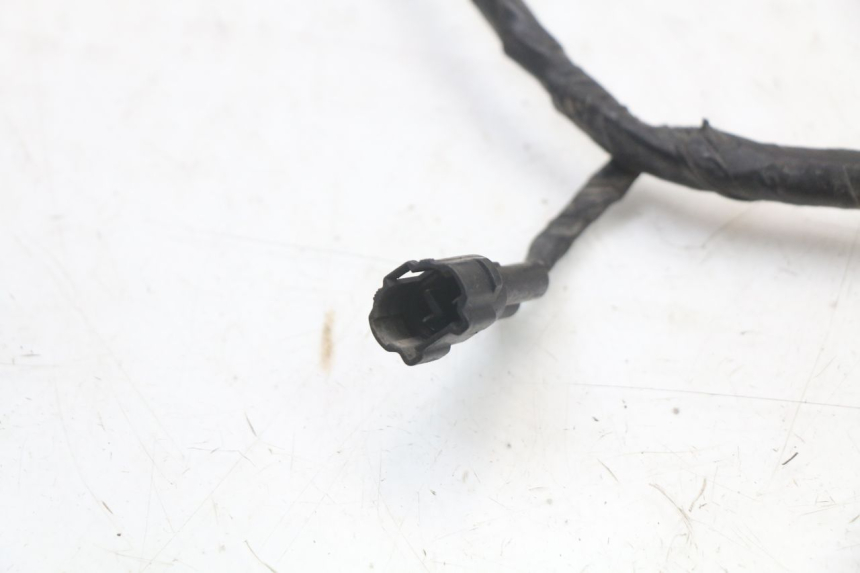 photo de WIRE HARNESS YAMAHA XVS DRAG STAR DRAGSTAR 650 (1997 - 2007) - Distinctive features