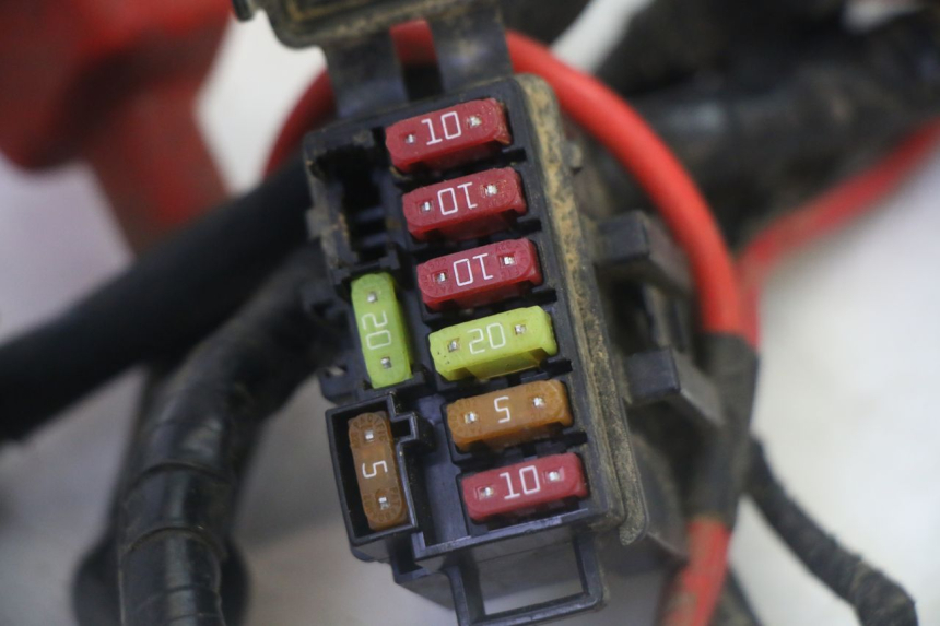 photo de WIRE HARNESS YAMAHA YFM GRIZZLY 550 (2008 - 2015) - Additional view of the item