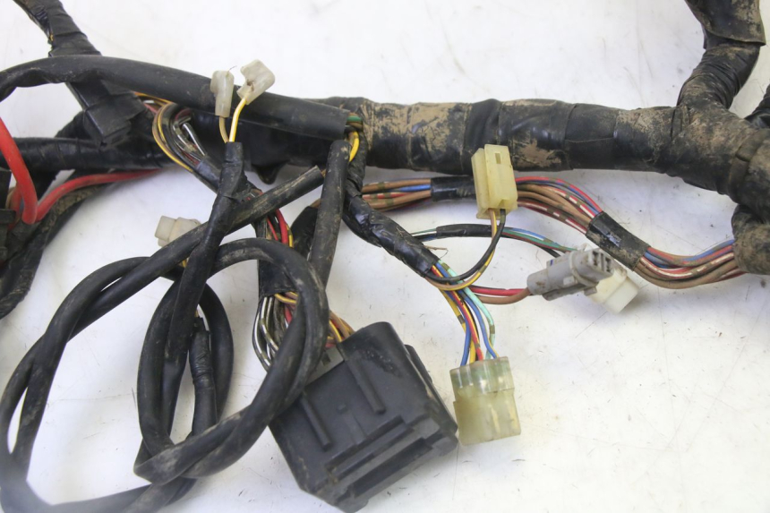 photo de WIRE HARNESS YAMAHA YFM GRIZZLY 550 (2008 - 2015) - Checked used part