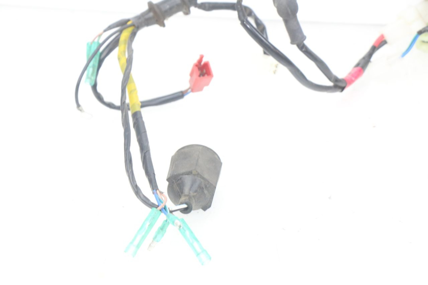 photo de WIRING HARNESS YAMAHA YFM R RAPTOR 90 (2017 - 2023) - Fixing points details