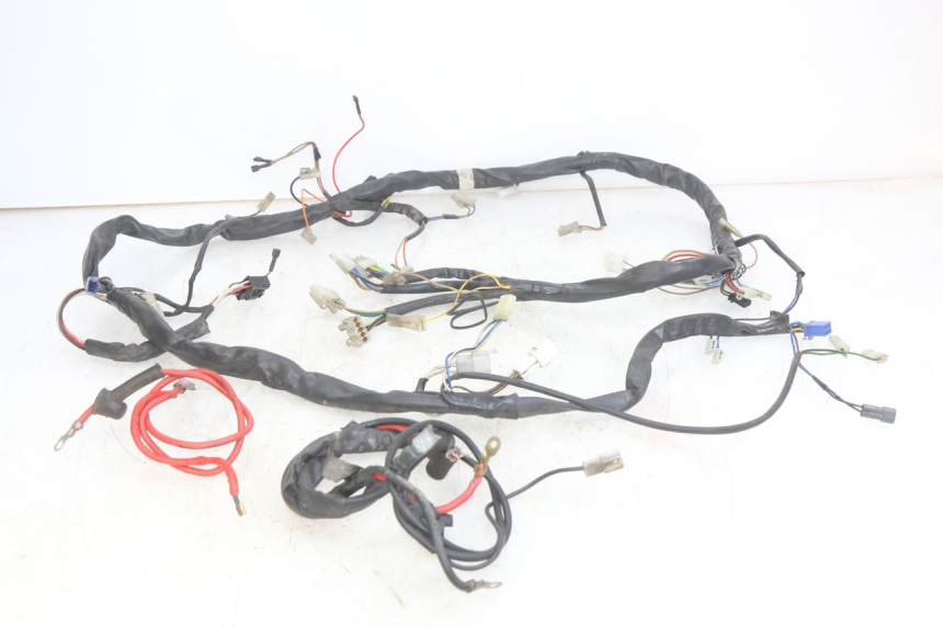photo de WIRING HARNESS YAMAHA YP MAJESTY 125 (1998 - 2001) - Main view